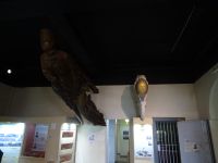 Museo del Fin del Mundo