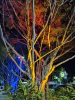 Cairns