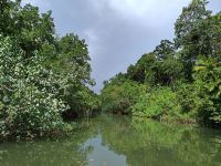 Cairns - Daintree Fluss