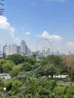 Singapore Flyer