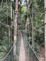 Dschungelwanderung in Taman Negara Nationalpark