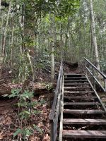 Dschungelwanderung in Taman Negara Nationalpark