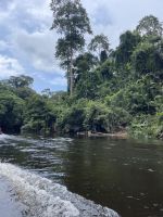 Bootsfahrt im Taman Negara Nationalpark