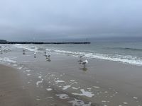 Strand von Kolberg