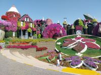 Miracle Garden