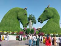 Miracle Garden