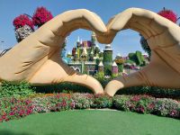 Miracle Garden