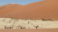 Dead Vlei - 3