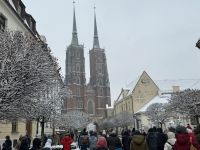 Besucheransturm am Dom