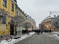 Winter auf der Dominsel