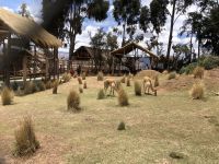 Manos de la Comunidad 