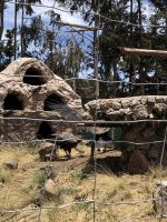 Manos de la Comunidad