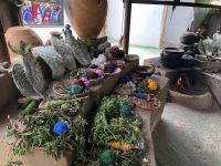 Manos de la Comunidad