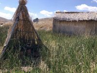 Uros