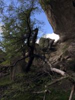 Milodon-Höhle