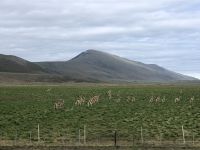 Torres del Paine Nationalpark