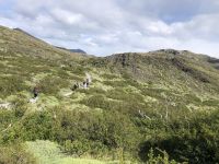 Wanderung Los Cuernos 