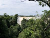 Iguazu 