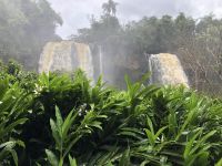 Iguazu 
