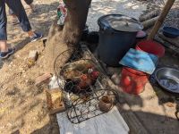 136. Zwischenstopp einheimischer Markt