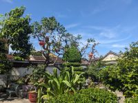 195. Stadtspaziergang Hoi An