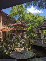 275. Restaurant Mittagessen