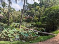 327. Zwischenstopp Fahrt ins Mekongdelta - Schlangenbrücke