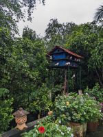 342. Elefantenohrfisch - Mittagessen Mekong