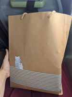 406. Grenzübertritt Kambodscha