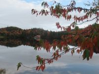 Die schönsten Bilder des Indian Summer 