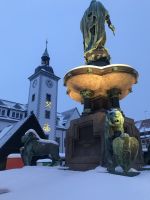 Blick zum Rathaus vom Brunnendenkmal Markgraf Otto den Reichen mit den Wappenlöwen