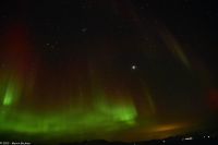 Skjervøy geht immer - Polarlicht!