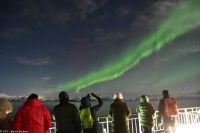 Polarlicht über den Lofoten und dem Vestfjord (Nordland)