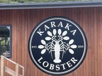 ...unterwegs nach Kaikoura (7)