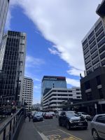 ... in Wellington (9)