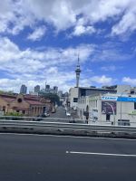Auckland (1)
