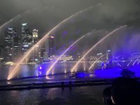 Signapore at night (9)