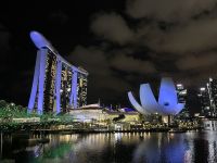 Signapore at night (6)