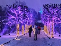 Freilichtmuseum Skansen: Lucia-Fest und Weihnachtsmarkt