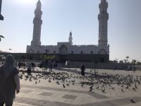 Medina