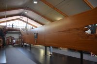 Kauri Museum