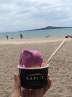 Auckland Bay Sands