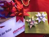 Wir haben Fröbelsterne gefaltet