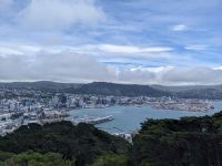 Wellington Ausblick Mount Victoria