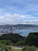 Wellington Ausblick