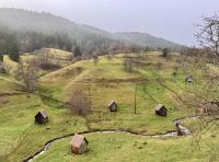 Tag 2 - Fahrt durch den Nord-Schwarzwald 