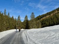 4. Reisetag – Ausflug in die Alpen – Spaziergang vom Forellenhof zurück zum Parkplatz