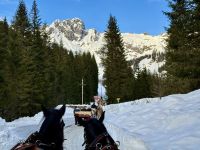 4. Reisetag – Ausflug in die Alpen – Kutsch-/Schlittenfahrt von Filzmoos zur Unterhofalm