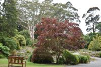 Christchurch Botanischer Garten