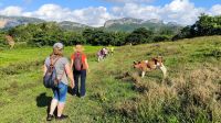 Viñales - Wanderung
